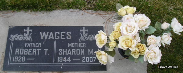 sharon wells and lighting